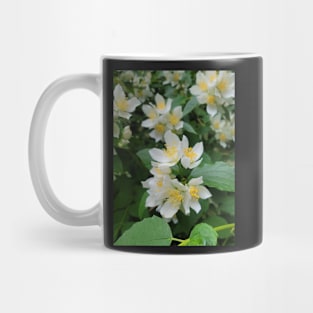 flower, white, beautiful, love, gift Mug